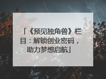 《预见独角兽》栏目：解锁创业密码，助力梦想启航