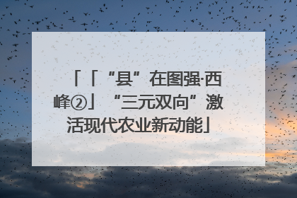 「“县”在图强·西峰②」“三元双向”激活现代农业新动能