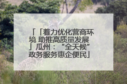 「着力优化营商环境 助推高质量发展」瓜州：“全天候”政务服务惠企便民