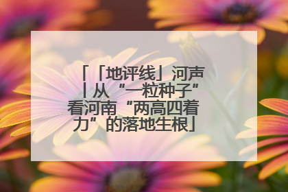 「地评线」河声丨从“一粒种子”看河南“两高四着力”的落地生根