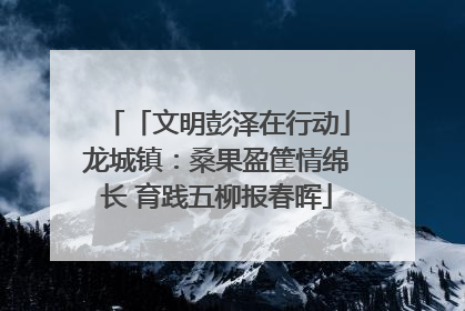 「文明彭泽在行动」龙城镇：桑果盈筐情绵长 育践五柳报春晖