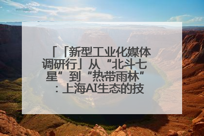 「新型工业化媒体调研行」从“北斗七星”到“热带雨林”：上海AI生态的技术商业共生密码