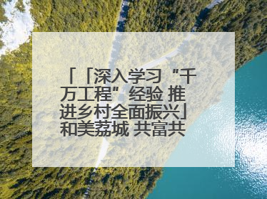 「深入学习“千万工程”经验 推进乡村全面振兴」和美荔城 共富共美 荔城区扎实推进乡村振兴工作