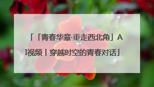 「青春华章·重走西北角」AI视频丨穿越时空的青春对话