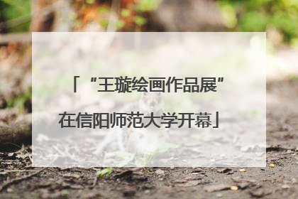 “王璇绘画作品展”在信阳师范大学开幕