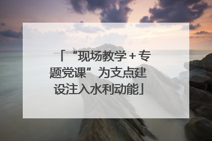 “现场教学＋专题党课”为支点建设注入水利动能