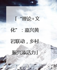 “理论+文化”：嘉兴黄岩联动，乡村振兴添活力