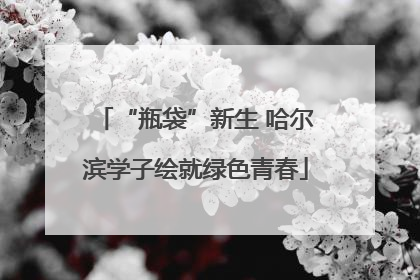 “瓶袋”新生 哈尔滨学子绘就绿色青春