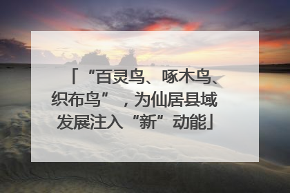 “百灵鸟、啄木鸟、织布鸟”，为仙居县域发展注入“新”动能