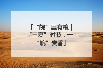 “皖”里有粮｜“三夏”时节，一“皖”麦香
