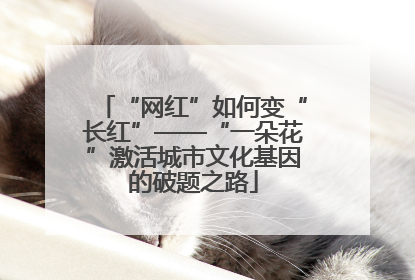 “网红”如何变“长红”——“一朵花”激活城市文化基因的破题之路