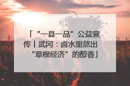 “一县一品”公益宣传丨武冈：卤水里熬出“草根经济”的醇香