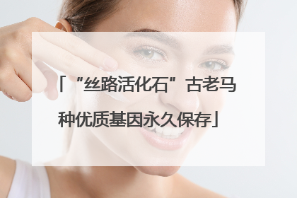 “丝路活化石”古老马种优质基因永久保存