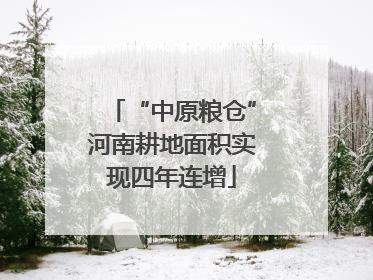 “中原粮仓”河南耕地面积实现四年连增