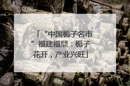 “中国栀子名市”福建福鼎：栀子花开，产业兴旺