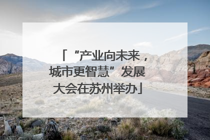 “产业向未来，城市更智慧”发展大会在苏州举办