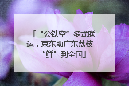 “公铁空”多式联运，京东助广东荔枝“鲜”到全国