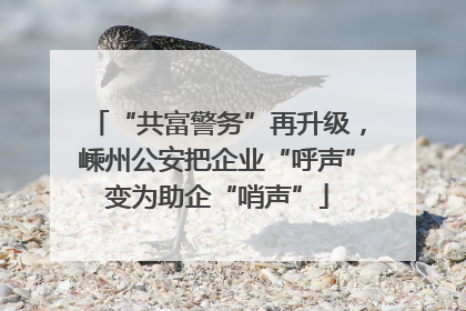 “共富警务”再升级，嵊州公安把企业“呼声”变为助企“哨声”