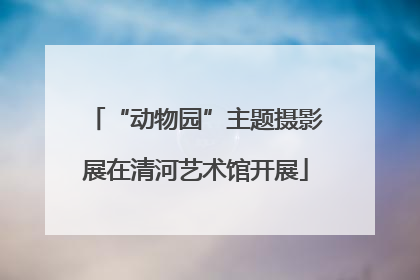 “动物园”主题摄影展在清河艺术馆开展