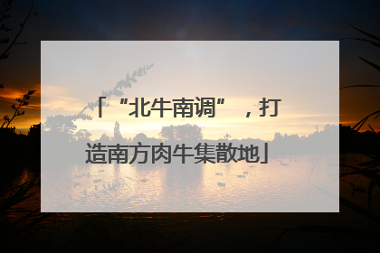“北牛南调”，打造南方肉牛集散地