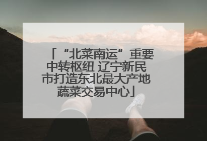 “北菜南运”重要中转枢纽 辽宁新民市打造东北最大产地蔬菜交易中心