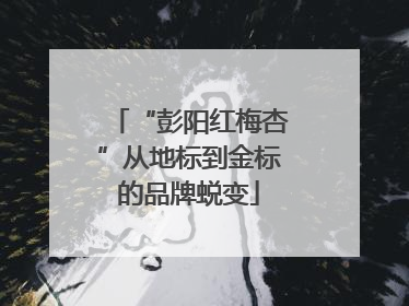 “彭阳红梅杏”从地标到金标的品牌蜕变