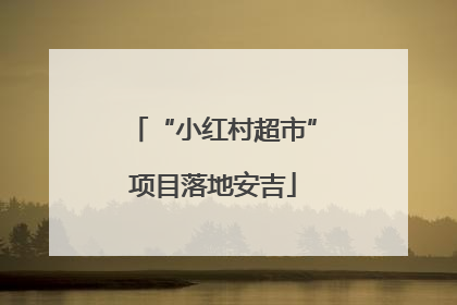 “小红村超市”项目落地安吉