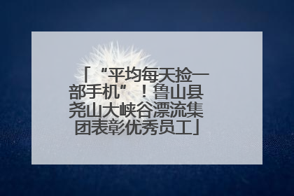 “平均每天捡一部手机”！鲁山县尧山大峡谷漂流集团表彰优秀员工