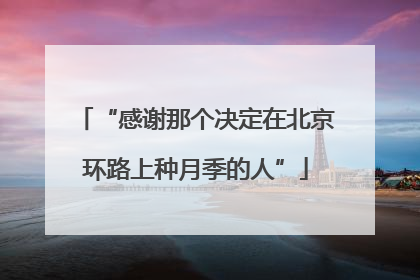 “感谢那个决定在北京环路上种月季的人”