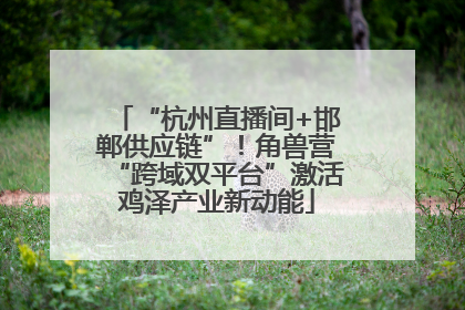 “杭州直播间+邯郸供应链”！角兽营“跨域双平台”激活鸡泽产业新动能