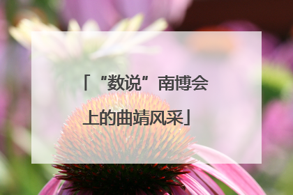 “数说”南博会上的曲靖风采