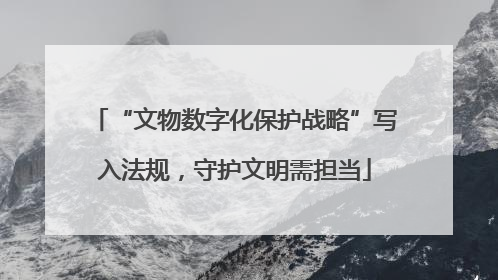 “文物数字化保护战略”写入法规，守护文明需担当