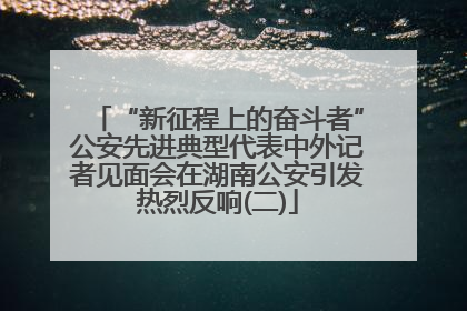 “新征程上的奋斗者”公安先进典型代表中外记者见面会在湖南公安引发热烈反响(二)