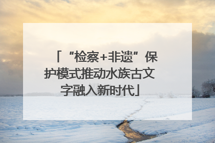 “检察+非遗”保护模式推动水族古文字融入新时代