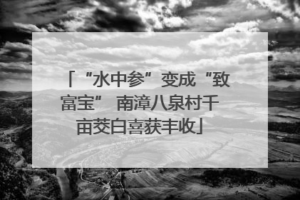 “水中参”变成“致富宝” 南漳八泉村千亩茭白喜获丰收