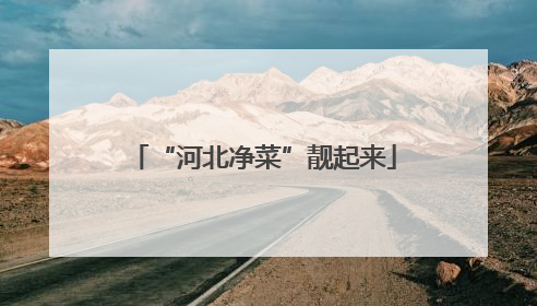 “河北净菜”靓起来