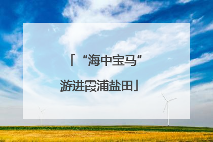 “海中宝马”游进霞浦盐田