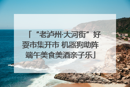“老泸州·大河街”好耍市集开市 机器狗助阵端午美食美酒亲子乐