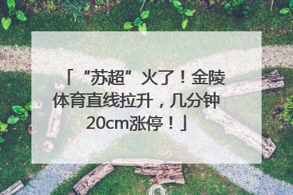“苏超”火了！金陵体育直线拉升，几分钟20cm涨停！