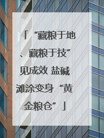 “藏粮于地、藏粮于技”见成效 盐碱滩涂变身“黄金粮仓”
