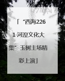 “西海2261·河湟文化大集”玉树主场精彩上演