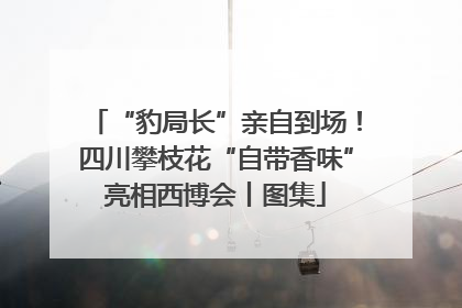 “豹局长”亲自到场！四川攀枝花“自带香味”亮相西博会丨图集