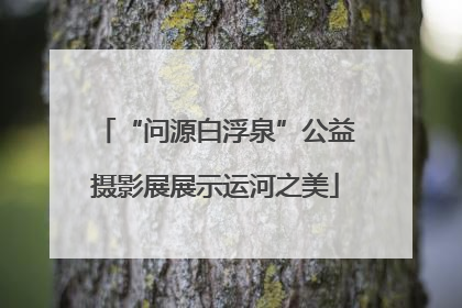 “问源白浮泉”公益摄影展展示运河之美