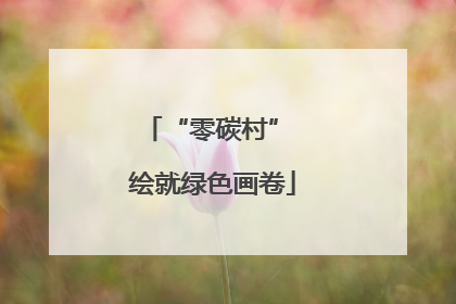 “零碳村” 绘就绿色画卷