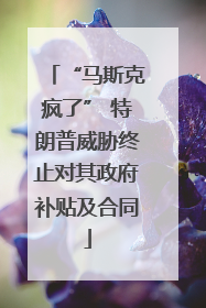 “马斯克疯了” 特朗普威胁终止对其政府补贴及合同