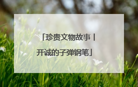 珍贵文物故事丨开诚的子弹钢笔