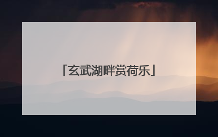 玄武湖畔赏荷乐