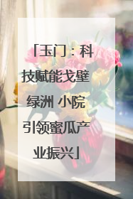 玉门：科技赋能戈壁绿洲 小院引领蜜瓜产业振兴