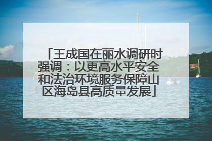 王成国在丽水调研时强调：以更高水平安全和法治环境服务保障山区海岛县高质量发展