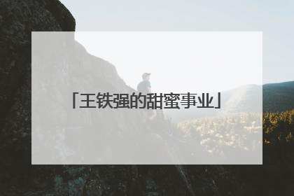 王铁强的甜蜜事业